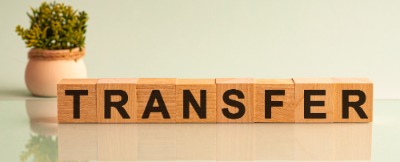 A flower pot. The words transfer on mini wooden cubes.