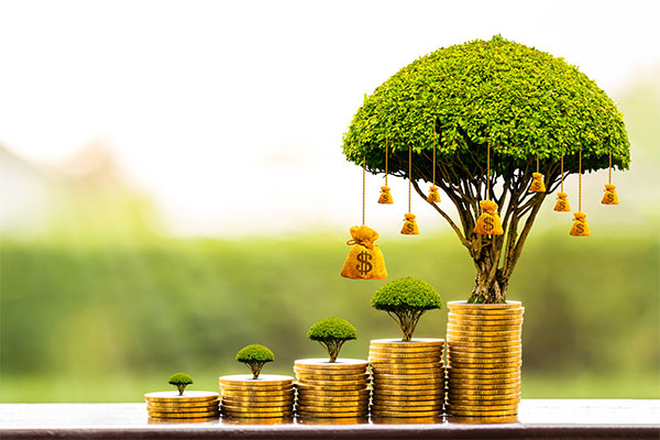 Small trees growing on top of coin stacks.