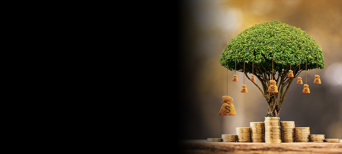 A miniature tree with little money bags and a stack of coins.